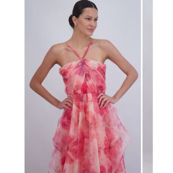 Eliza j floral poppy pink chiffon gown dress 6 flawed - Picture 3 of 13
